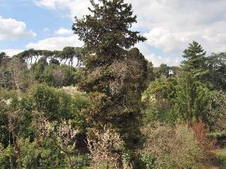 Magnolia Relais Rom